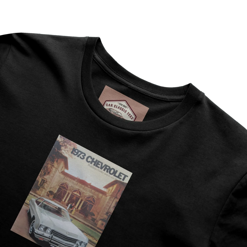 1973 Chevrolet Belair, Caprice and Impala Black Te