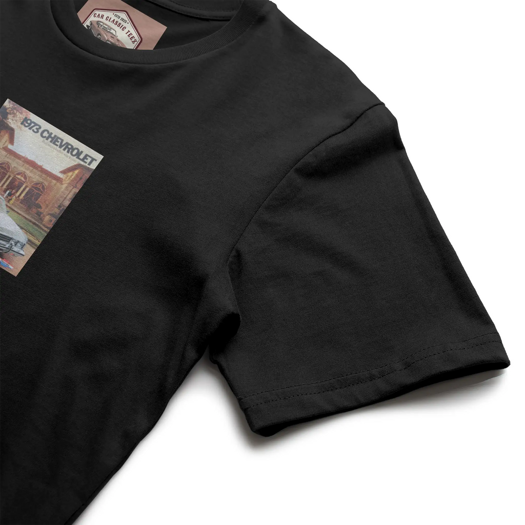 1973 Chevrolet Belair, Caprice and Impala Black Te