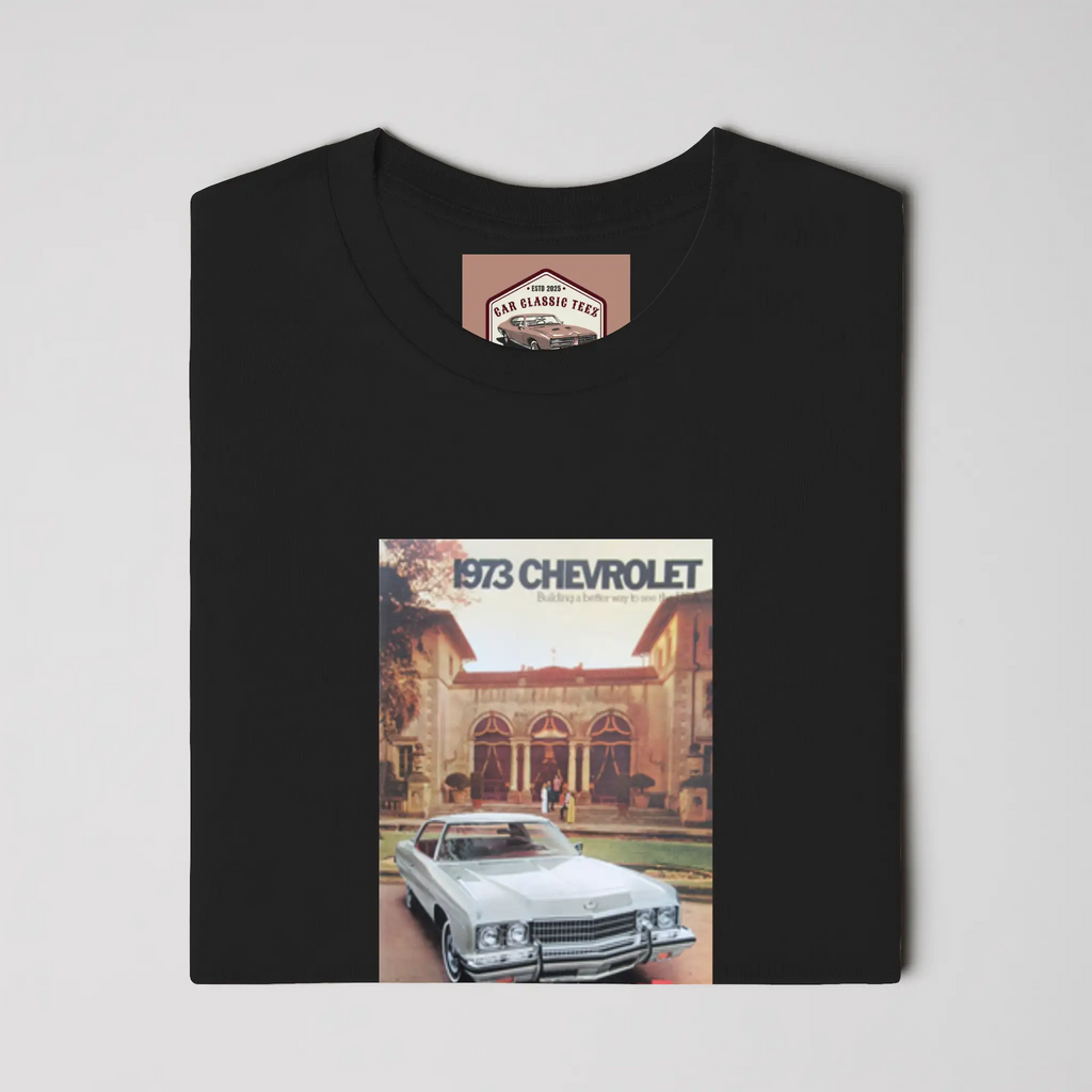 1973 Chevrolet Belair, Caprice and Impala Black Te