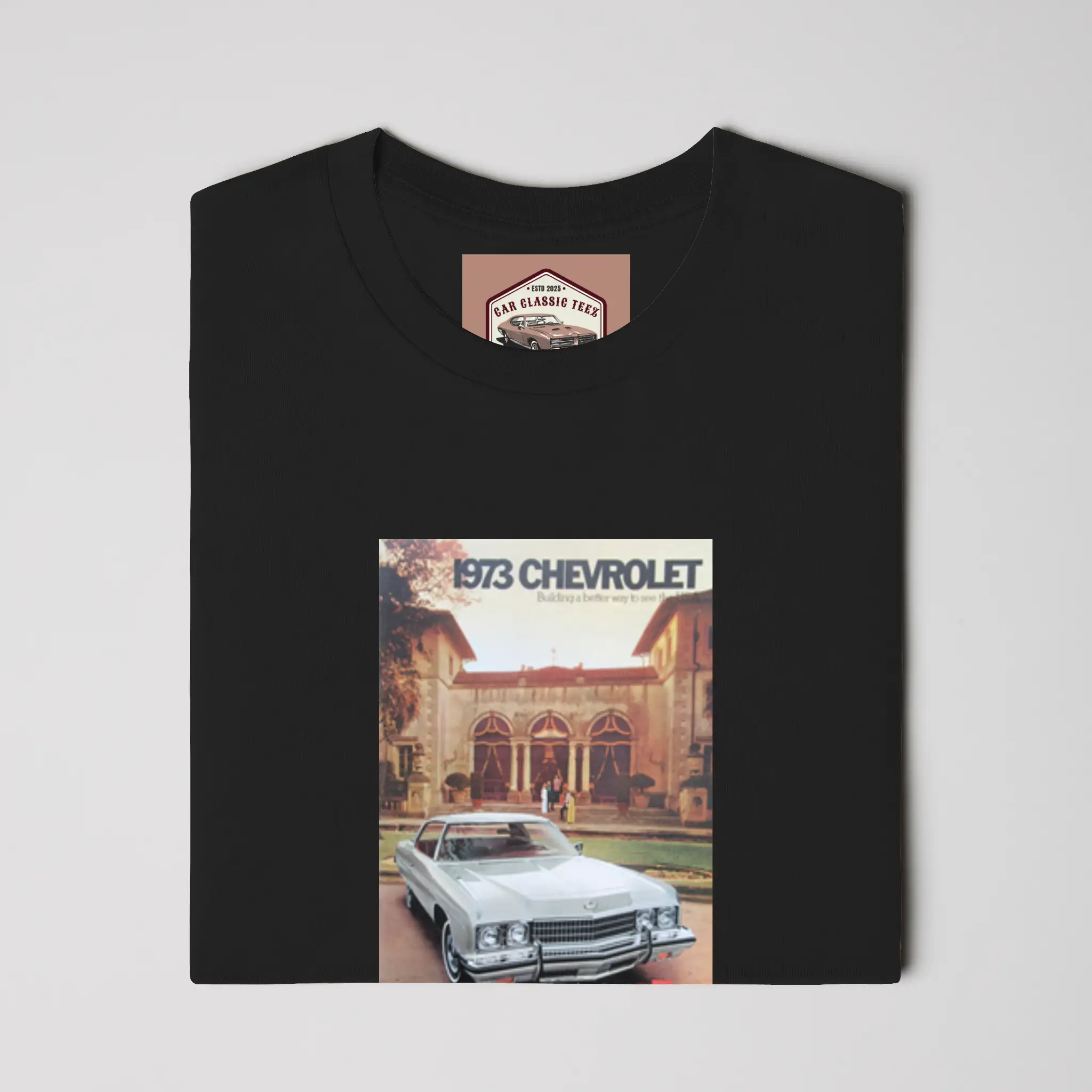 1973 Chevrolet Belair, Caprice and Impala Black Te